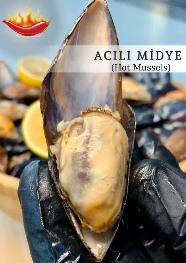 midye-box-hot-mussel